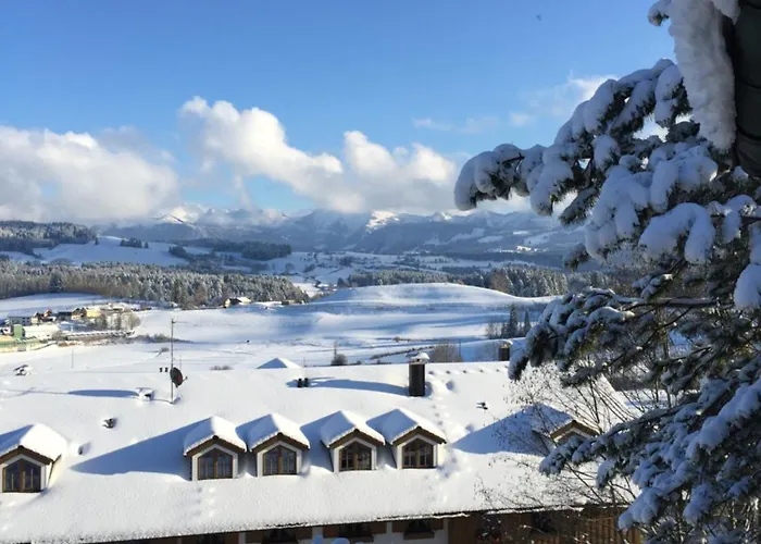 Panoramaapart - Alpzeit Im Westallgaeu * オーバーロイテ